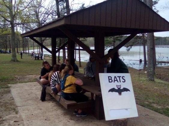 Kids and presenter gathered at the bat station at the Eco Day at the Piney Wood Rec Area